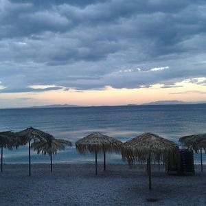Hotel Sun